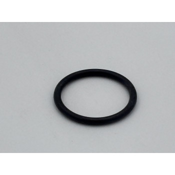 O-RING   